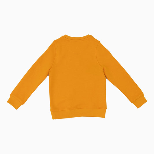 savar-kids-printed-crew-neck-sweatshirt-sck3028-852